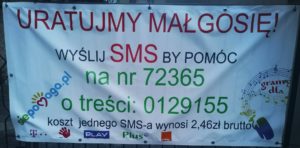 RatujmyGosie